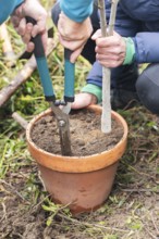 Cropped unrecognizable individuals engage in planting a small tree in a rustic terracotta pot