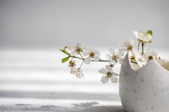 White cherry blossoms extend elegantly from a speckled ceramic vase, placed against a soft blurry