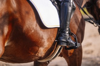 A close-up of an equestrian rider's boot and stirrup, highlighting the details of classical