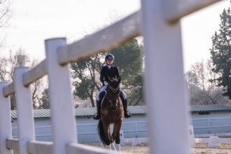 A teenage girl competently engages in classical dressage, riding a horse in an outdoor arena.