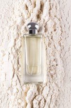 A sleek male perfume bottle rests on a cracked white sand texture, highlighting sophistication and