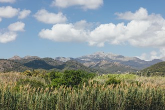 Scenic view of green valley with trees and mountains under blue sky with clouds