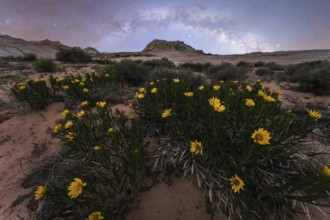 A serene spring night at Coyote Buttes in the Paria Canyon-Vermilion Cliffs Wilderness, Arizona,