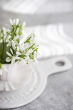 Fresh spring snowdrops in a white ceramic vase, elegantly displayed on a kitchen presentation board