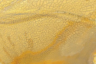Close-up view of a textured surface of golden mud showcasing intricate cracks and rich golden hues