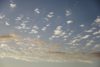 Soft scattered clouds in the sky during dusk. The pastel colors create a dreamy and tranquil