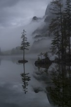 A moody and serene view of Hintersee Lake in the Bavarian Alps, shrouded in mist Lone trees on