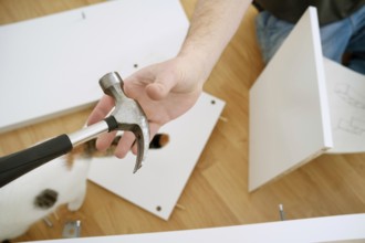 Cropped view of a man holding a hammer while assembling new furniture. The image shows his hands,