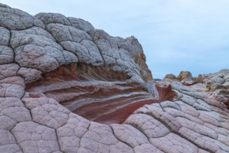 Detailed view of the unique, textured rock formations at White Pocket, Arizona, USA, featuring
