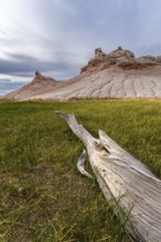 A striking view of Coyote Buttes in the Paria Canyon-Vermilion Cliffs Wilderness, featuring lush