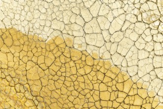 Close-up view of a dry, cracked surface shimmering with golden mud, creating a unique pattern of