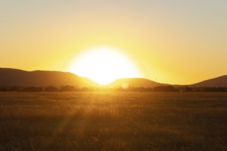 A serene sunset view over the vast grasslands of Cabaneros National Park in Montes de Toledo,