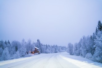A tranquil winter scene of a snow-laden road winding through the pristine forests of Swedish