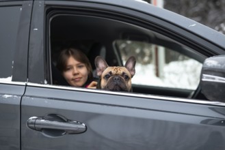 A girl and her French Bulldog enjoy a cozy winter drive. The dog looks out the car window, while