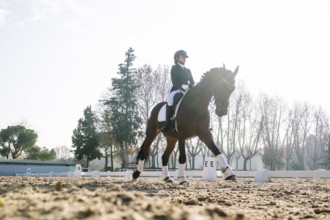 A dressage rider skillfully guides a horse in a sunlit arena with a backdrop of tall trees The