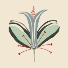 Unique artistic illustration showcasing an abstract flower with vibrant greens and reds, set