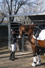 A rider in traditional attire prepares a horse in a stable for a classical dressage performance,