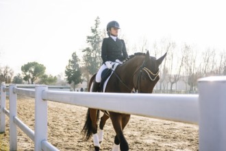 A skilled dressage rider in formal attire guides a horse gracefully in a sunny equestrian arena,
