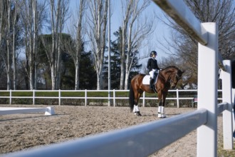 A rider in formal attire practices classical dressage on a chestnut horse in an outdoor arena The
