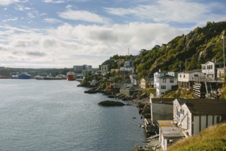 Coastal cityscape of St. John's, Newfoundland & Labrador, showcasing quaint, multicolored houses