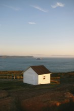 A lone white shed stands on the rugged terrain of St. John's, Newfoundland & Labrador, Canada,