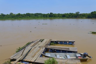 A wooden jetty on the riverbank with a boat tied just below the water surface, Porto Jofre,