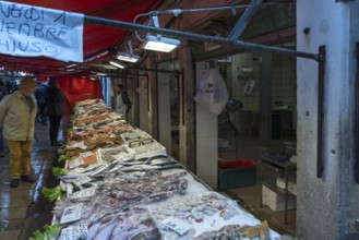 Offer at the fish market, Rialto market in the San Polo district, Venice, Veneto, Italy