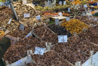 Large mushroom stall (Fungi) at the Rialto market in the San Polo district, Venice, Veneto, Italy