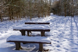 Snow-covered table and benches at a rest area on the bridge tour, a hiking trail around Lake