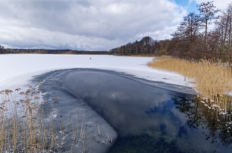 View of the church lake covered with ice and snow in the UNESCO Schaalsee Biosphere Reserve.