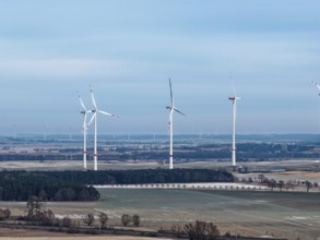 Blumberger Mühle fish ponds, covered with snow and ice, in the UNESCO biosphere reserve