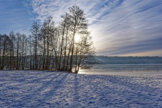 There is snow on the shore and the sun shines through the bare winter trees on Lake Werbellin in