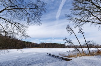 Winter day at the swimming area and jetty on the snow-covered Heiliger See, a lake in the Grumsin