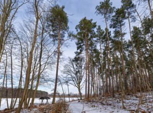 Hiking trail and rest area on the snow-covered and ice-covered Heiliger See, a lake in the Grumsin