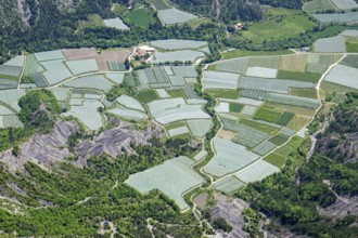 Alps, Alpes-de-Haute-Provence, Alpes Maritimes, Gap, France, mountains, aerial view, plantation,