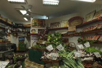 Small vegetable shop, Venice, Veneto, Italy