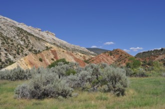 Rocks with colorful soil, vegetation and blue sky in hilly landscape, Dinosaur National Monument,