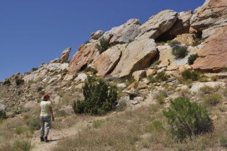 A person wanders along rocky landscape under clear skies, Dinosaur National Monument, Utah, USA