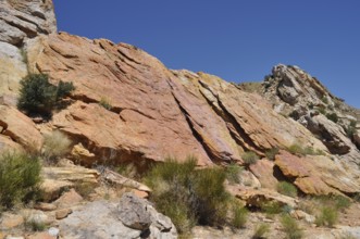 Bright orange rocks with vegetation under clear sky, Dinosaur National Monument, Utah, USA