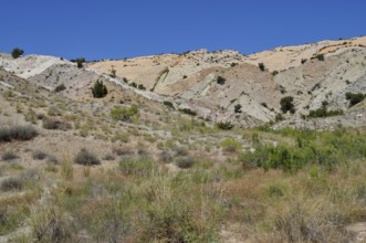 Colourful hills with sparse vegetation and clear skies in desert-like surroundings, Dinosaur