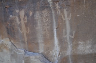 Petroglyphs of the Fremont culture of lizards on a rock with faded sandstone, Dinosaur National