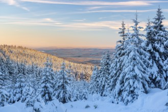 Deep snow-covered winter landscape, view of endless snow-covered spruce forests on Wurmberg in the