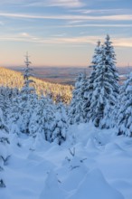 Deep snow-covered winter landscape, view of endless snow-covered spruce forests on Wurmberg in the
