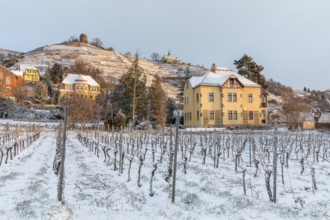 Twilight view of Oberlößnitz vineyards in snow with Bismarck Tower and Spitzhaus, Radebeul, Saxony,