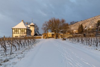 Sunrise at the Hoflössnitz winery in winter, Oberlössnitz in the snow, Radebeul, Saxony, Germany