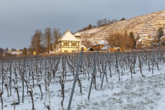 First rays of sunshine at the Hoflössnitz winery in winter, Oberlößnitz in the snow, Goldener Wagen
