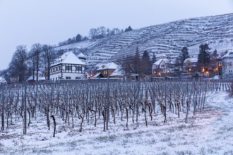 Hoflößnitz located in the wintry vineyards, Oberlößnitz, Radebeul, Saxony, Germany