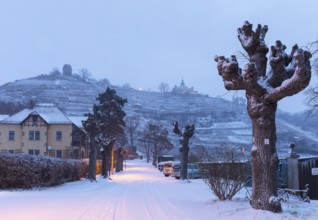 Twilight view of Oberlößnitz vineyards in snow with Bismarck Tower and Spitzhaus, Radebeul, Saxony,