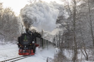 Lößnitzgrundbahn in snow, narrow-gauge railway steam locomotive between Radebeul and Radeburg, here