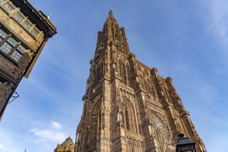 Strasbourg Cathedral in Strasbourg, Alsace, France